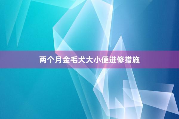 两个月金毛犬大小便进修措施